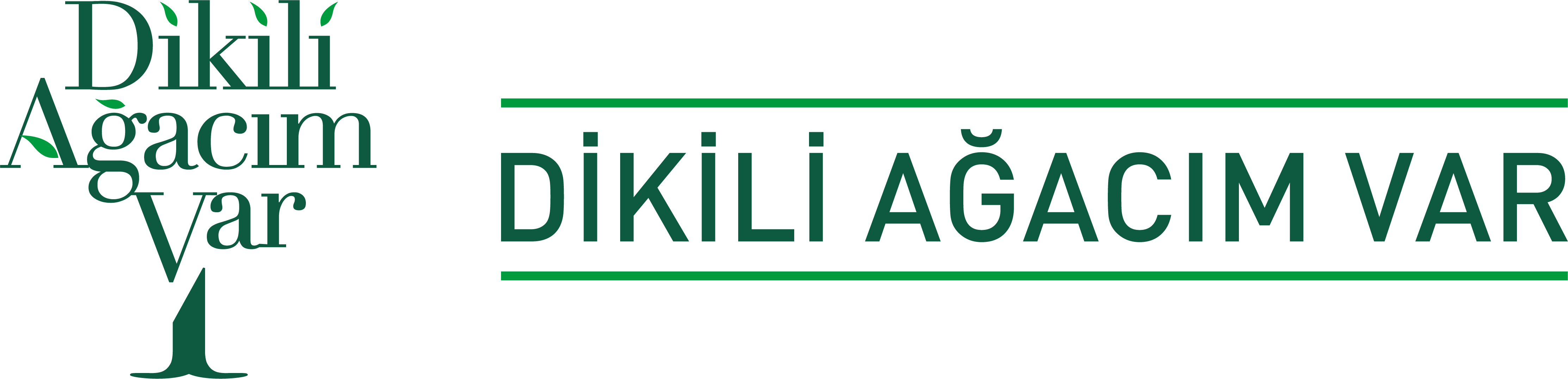 Kökü Bizde Yanan Ormanları Yeşertiyoruz